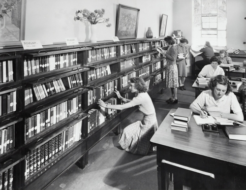 教育のため図書館で働く女性たち