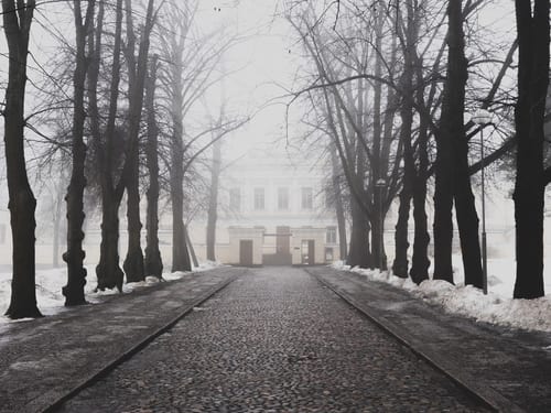冬のヘルシンキ大学への道