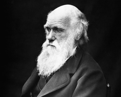 晩年のチャールズ・ダーウィンの肖像