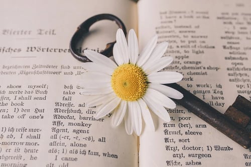 辞書の上にある鍵と花